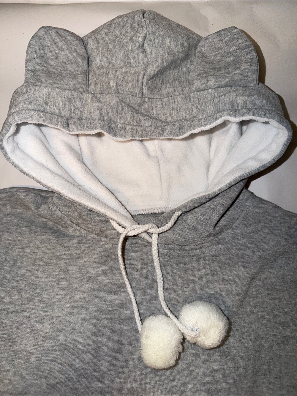 Pet Carrier: Hoodie & Kangaroo Pouch, Fleece Lined, Interior Zip Supply Pocket - Picture 6 of 12